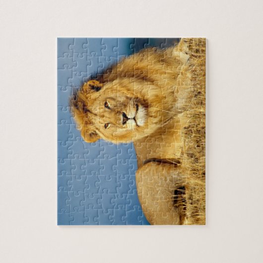 Puzzle de jeu de Lion (Vertical)