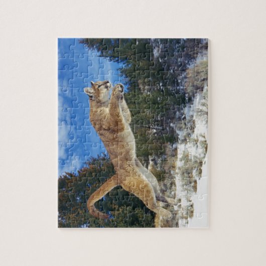 Puzzle de jeu de puma (Vertical)