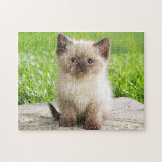 Puzzle de jeu Kitten (Horizontal)