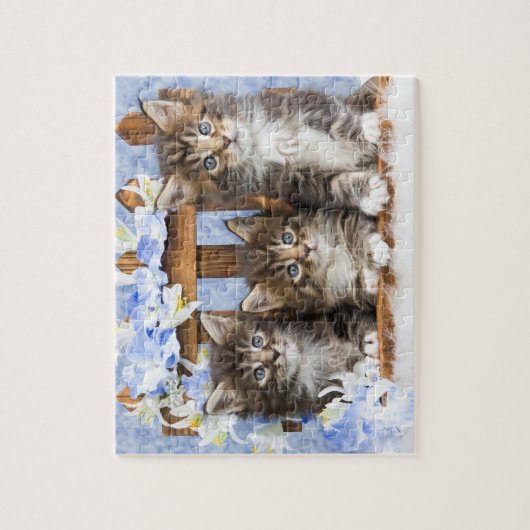 Puzzle de jeu Kittens (Vertical)