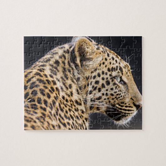 Puzzle de jeu Leopard (Horizontal)