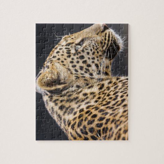 Puzzle de jeu Leopard (Vertical)