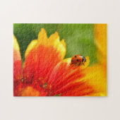 Puzzle de jeux de Ladybug (Horizontal)