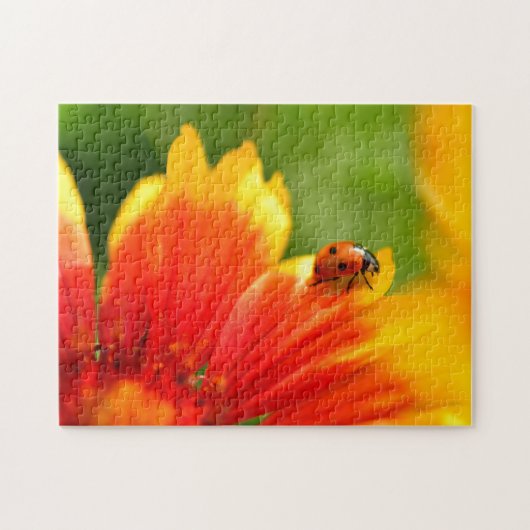 Puzzle de jeux de Ladybug (Horizontal)