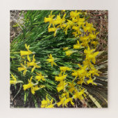 Puzzle de jonquilles jaunes de printemps (Horizontal)