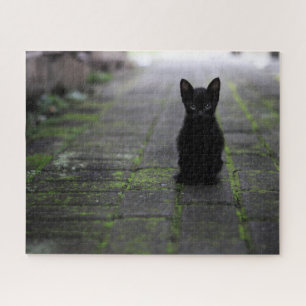 Puzzle de Kitten noir