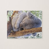 Puzzle de koala (Horizontal)