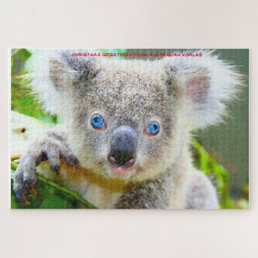 Puzzle de koalas australiens (Horizontal)