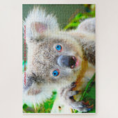 Puzzle de koalas australiens (Vertical)