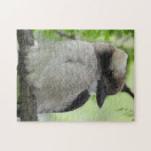 Puzzle de Kookaburra (Horizontal)