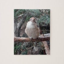 Puzzle de Kookaburra