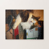 Puzzle de la chatte calicot au clavier (Horizontal)