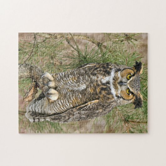 Puzzle de la chouette à grande corne (Horizontal)