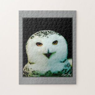 Puzzle de la Chouette Harfang
