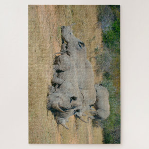 Puzzle de la famille de rhinocéros africains au re