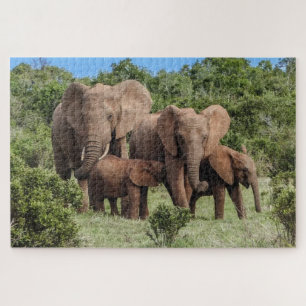 Puzzle de la famille des éléphants
