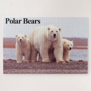 Puzzle de la famille des ours polaires