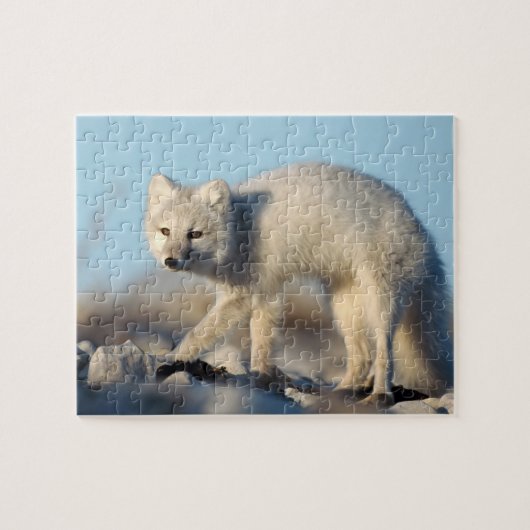 Puzzle de la faune (Horizontal)