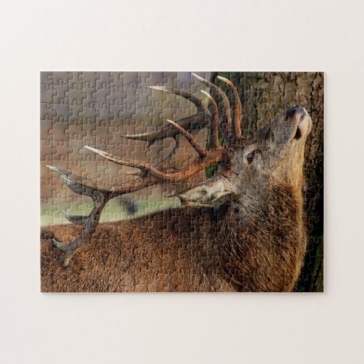 Puzzle de la faune (Horizontal)