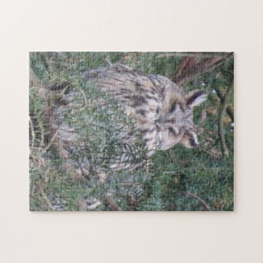Puzzle de la faune : Chouette à longues oreilles (Horizontal)