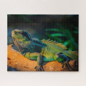 Puzzle de la faune d'Iguana (Horizontal)