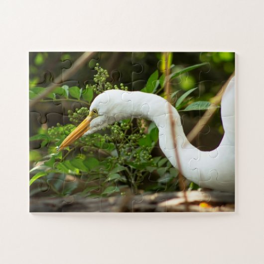 Puzzle de la faune pour enfants (Horizontal)