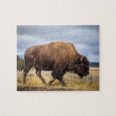 Puzzle de la faune - Puzzle de Buffalo (Horizontal)