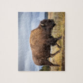 Puzzle de la faune - Puzzle de Buffalo (Vertical)