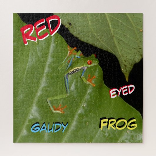 Puzzle de la faune : Puzzle de grenouille à sourci (Vertical)