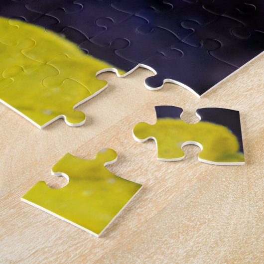 Puzzle de la fleur de concombre (Côté)