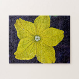 Puzzle de la fleur de concombre
