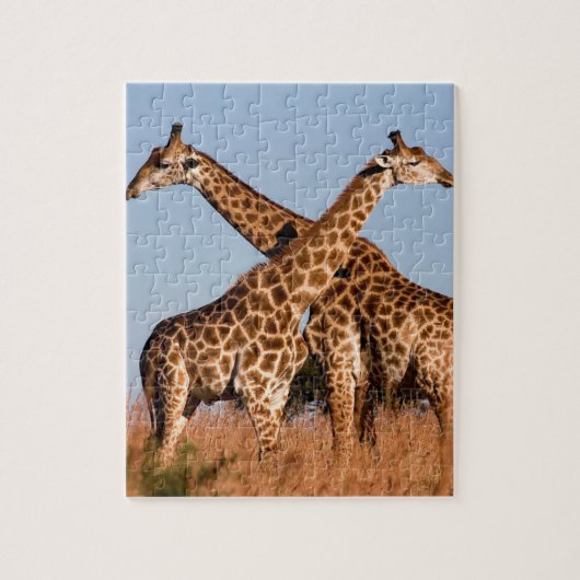 Puzzle de la Girafe (Vertical)