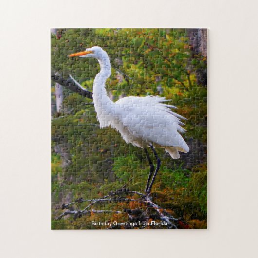 Puzzle de la Grande Aigrette de Floride (Vertical)