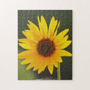 Puzzle de la grande fleur de soleil brillant