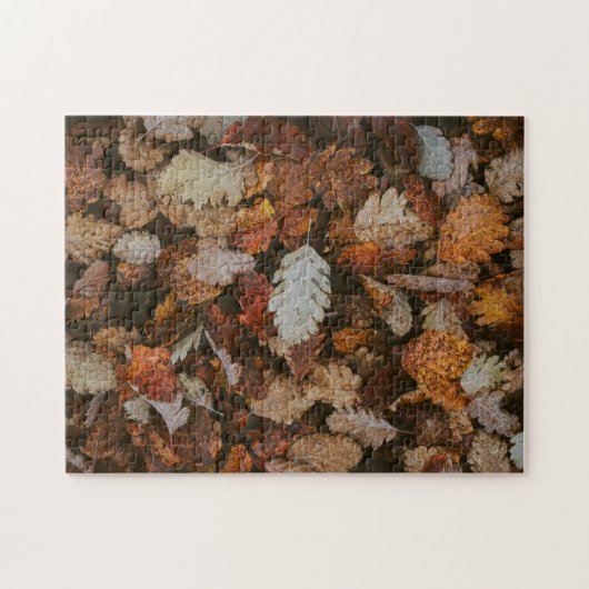 Puzzle de la nature Puzzle d'automne Puzzle extrêm (Horizontal)