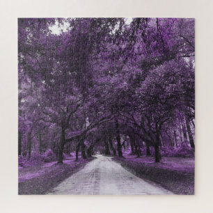 puzzle de la route de santee