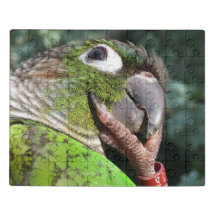 Puzzle de la teinte verte