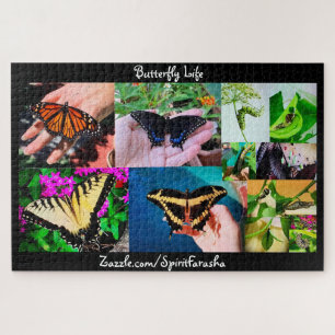 Puzzle de la vie des papillons