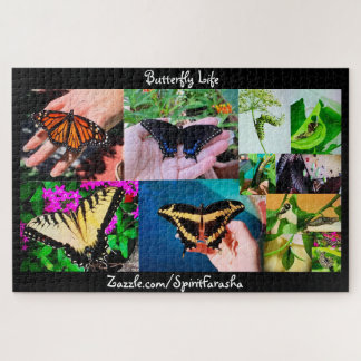 Puzzle de la vie des papillons