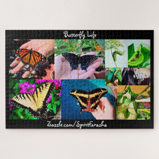Puzzle de la vie des papillons (Horizontal)