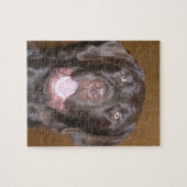 Puzzle de laboratoire de chocolat (Horizontal)