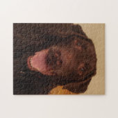 puzzle de laboratoire de chocolat (Horizontal)