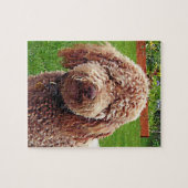 Puzzle de Labradoodle "Stella" (Horizontal)