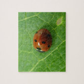 Puzzle de Ladybug (Vertical)