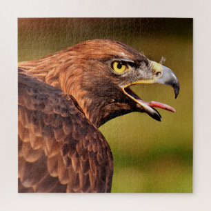 Puzzle de l'aigle