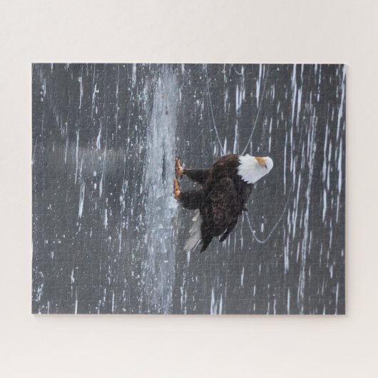 Puzzle de l'aigle des eaux congelées (Horizontal)