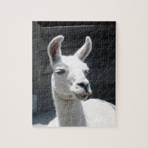 Puzzle de lama souriant