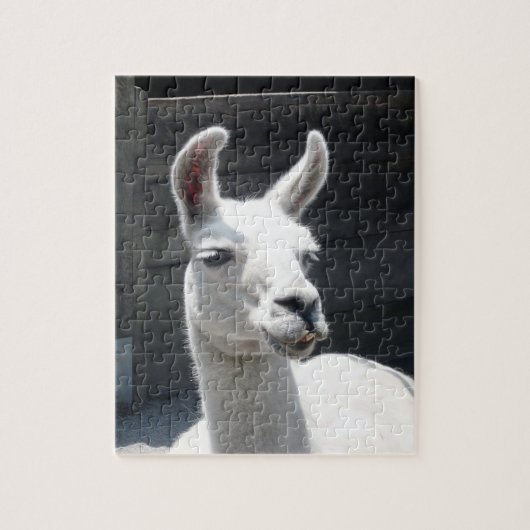 Puzzle de lama souriant (Vertical)