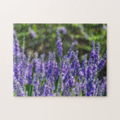 Puzzle de lavande (Horizontal)
