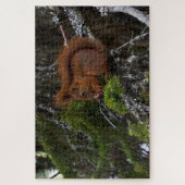 Puzzle de l'écureuil rouge (Vertical)